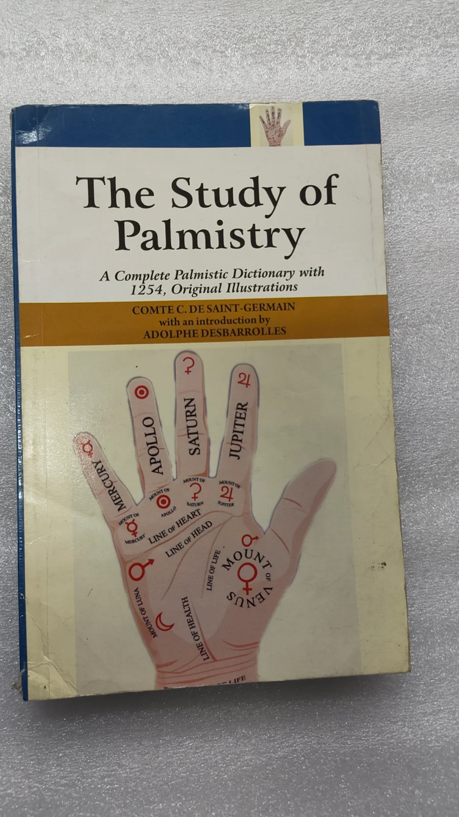 The Study Of Palmisy