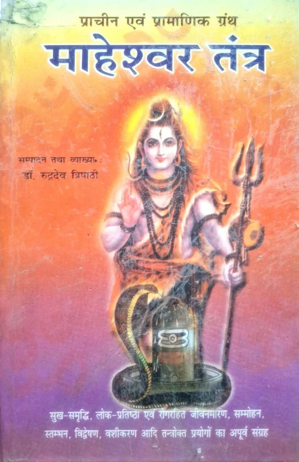 Maheshwar Tantra [Hindi]